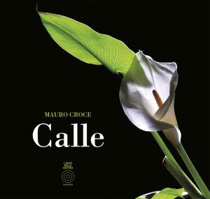 Calle