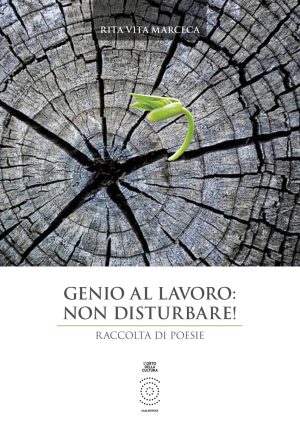 Genio al lavoro: non disturbare!